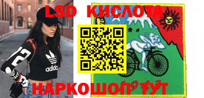 крисы Белореченск