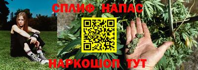 крисы Белореченск