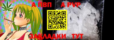крисы Белореченск
