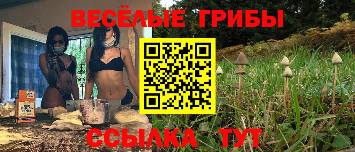 Псилоцибиновые грибы Psilocybine cubensis Октябрьский