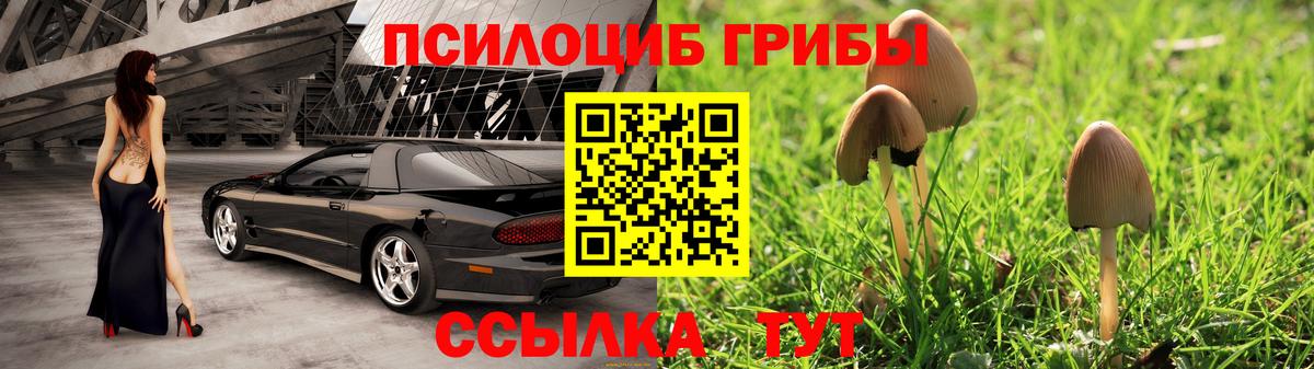 Псилоцибиновые грибы GOLDEN TEACHER  Вход с VPN  Октябрьский 